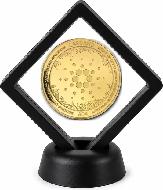 Crypto Coin Display Stand with Coin of Choice